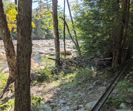 Franconia Brook Tentsite