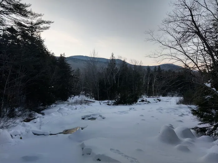 Franconia Brook Tentsite Picture 10
