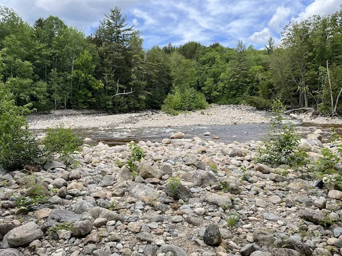 Franconia Brook Tentsite Picture 8