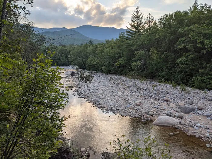 Franconia Brook Tentsite Picture 3