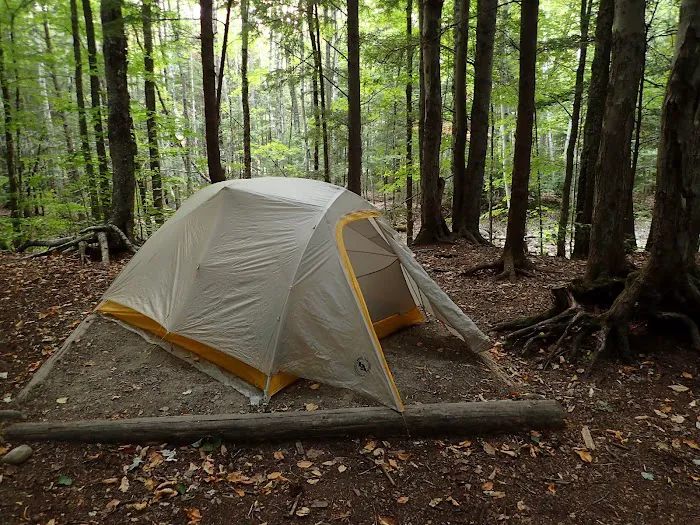 Franconia Brook Tentsite Picture 9