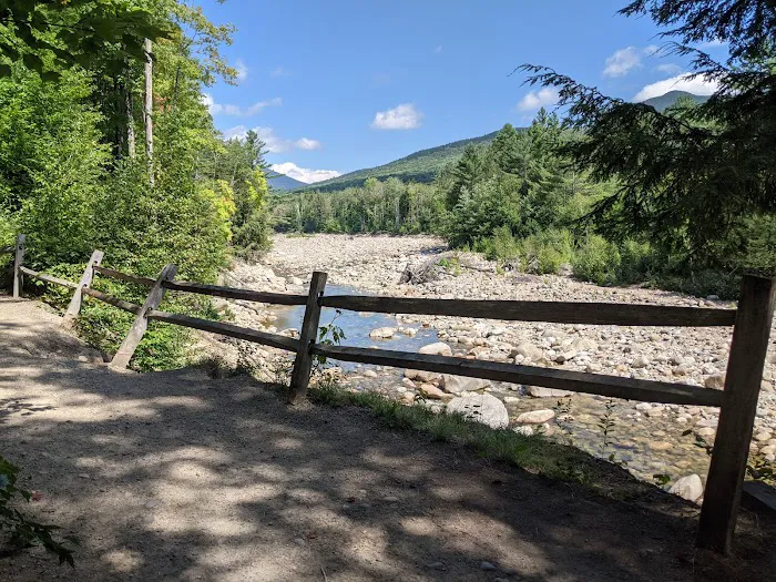 Franconia Brook Tentsite Picture 4