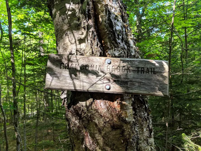 Thirteen Falls Tentsite Picture 1