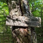 Thirteen Falls Tentsite