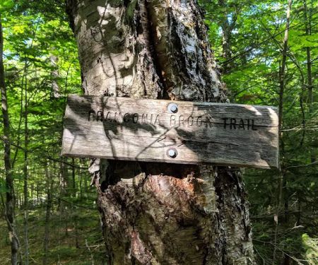 Thirteen Falls Tentsite
