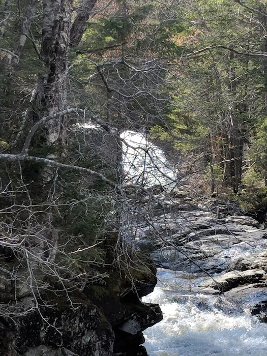 Thirteen Falls Tentsite Picture 4