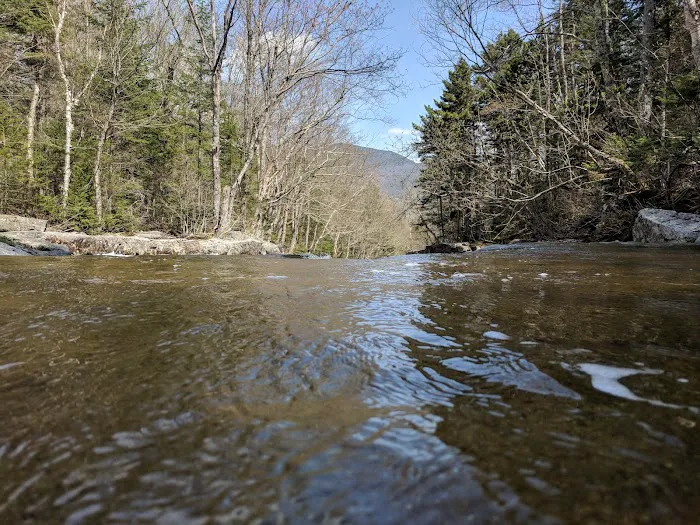Thirteen Falls Tentsite Picture 8