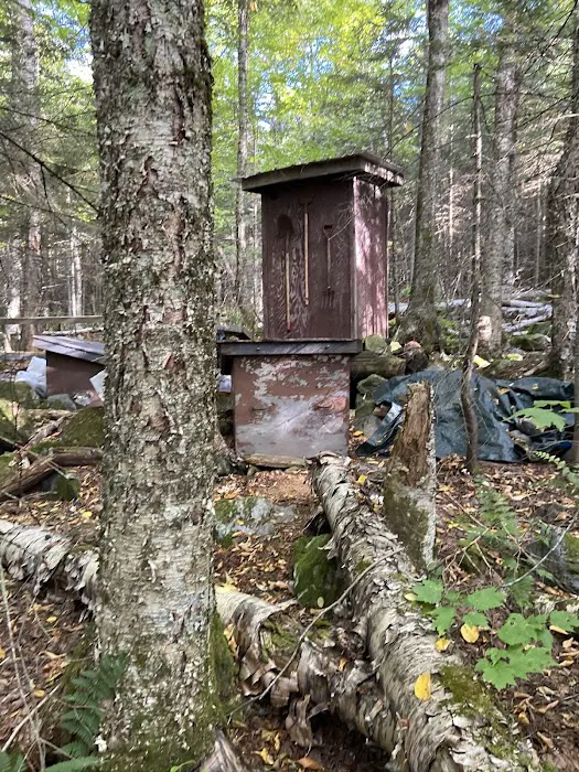 Thirteen Falls Tentsite Picture 5