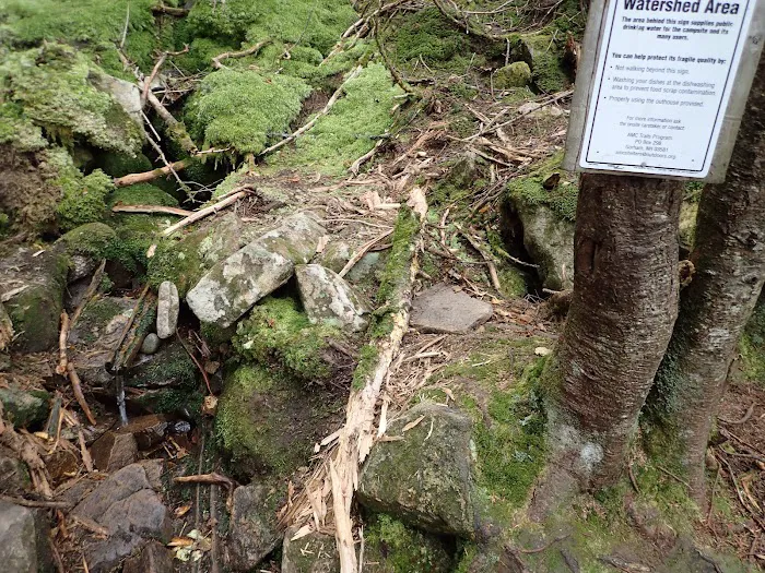 Garfield Ridge Campsite and Shelter, Appalachian Trail Picture 3