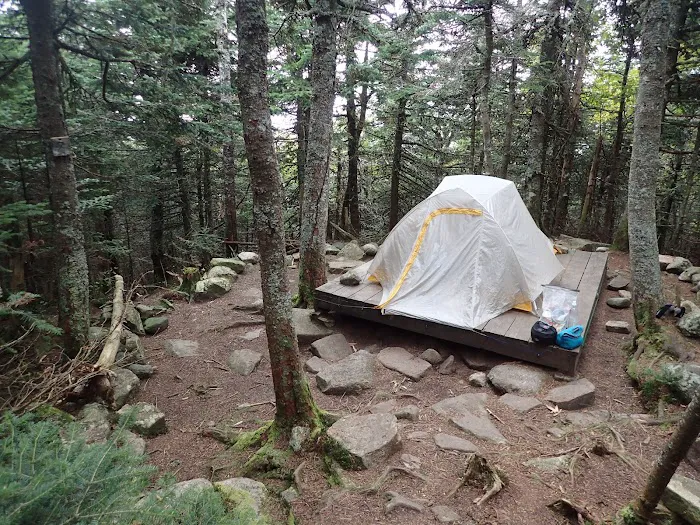 Garfield Ridge Campsite and Shelter, Appalachian Trail Picture 8