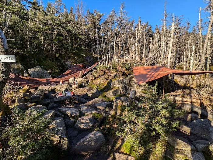 Garfield Ridge Campsite and Shelter, Appalachian Trail Picture 1