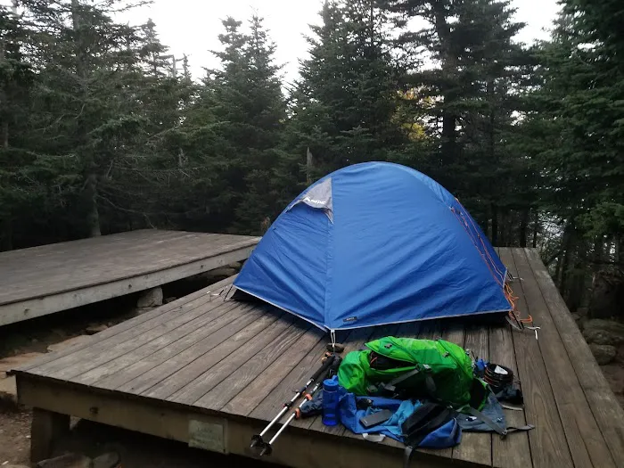Garfield Ridge Campsite and Shelter, Appalachian Trail Picture 2