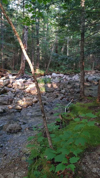 Osceola Vista Campground Picture 3