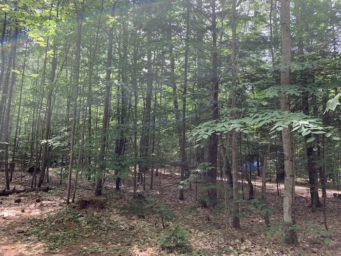Waterville Campground Picture 7