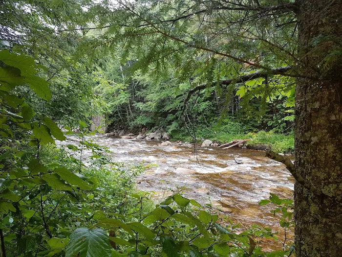 Waterville Campground Picture 10
