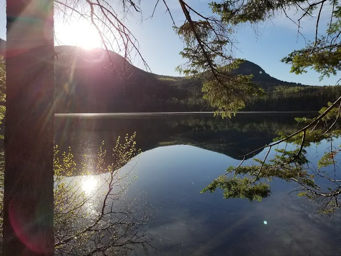Sawyer Pond Shelter & Tentsite Picture 1