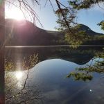 Sawyer Pond Shelter & Tentsite