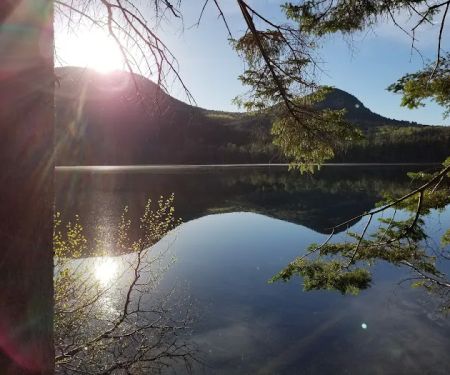 Sawyer Pond Shelter & Tentsite