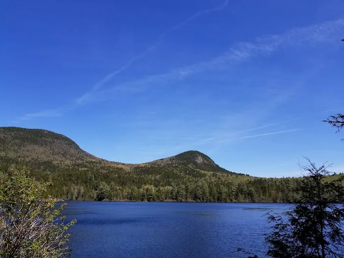 Sawyer Pond Shelter & Tentsite Picture 8