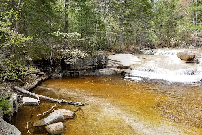 Sawyer Pond Shelter & Tentsite Picture 9