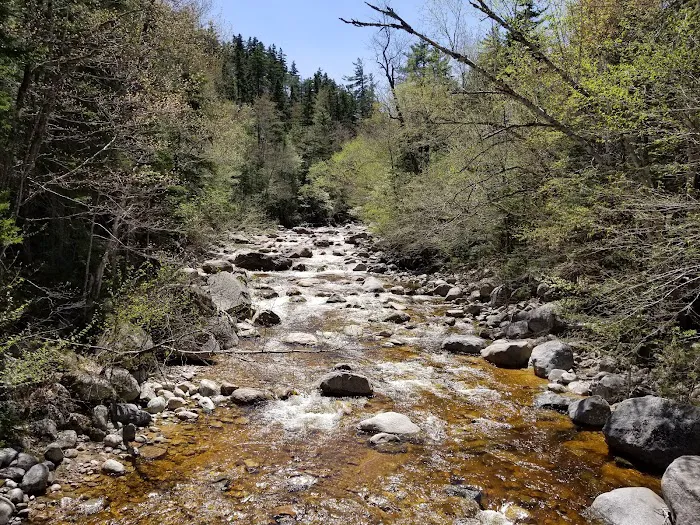 Sawyer Pond Shelter & Tentsite Picture 2