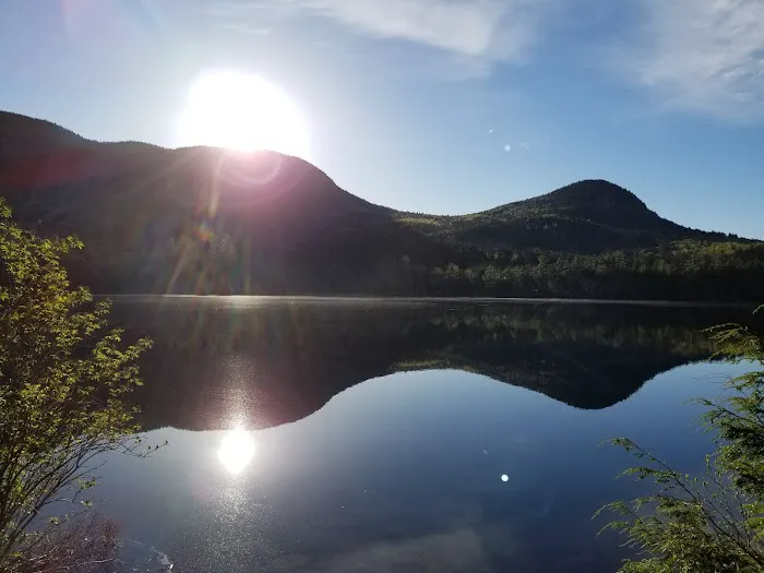 Sawyer Pond Shelter & Tentsite Picture 3