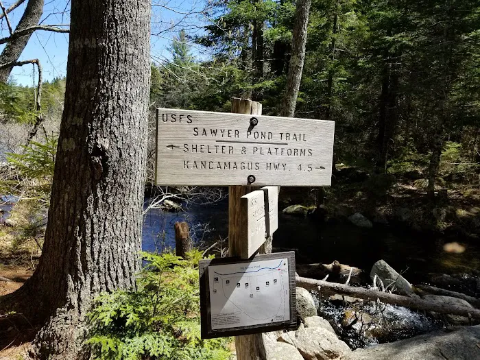 Sawyer Pond Shelter & Tentsite Picture 7