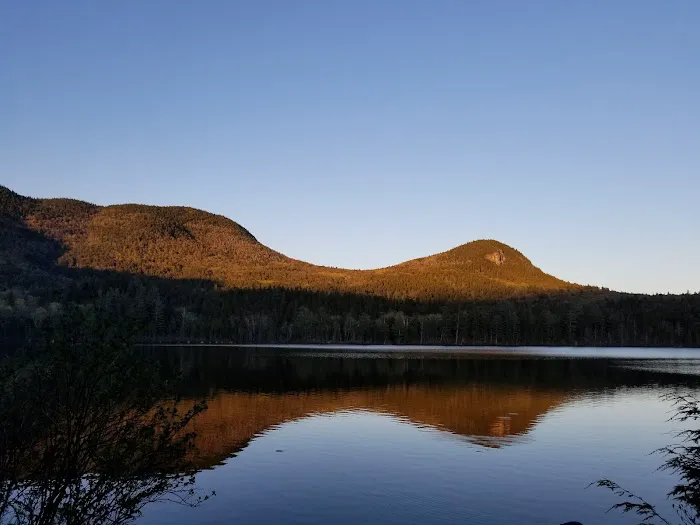 Sawyer Pond Shelter & Tentsite Picture 6