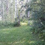 Burns Lake Campground