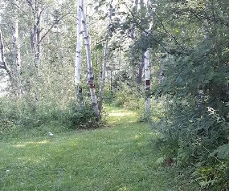 Burns Lake Campground
