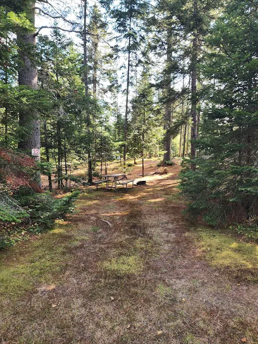Beech Hill Campground Picture 10