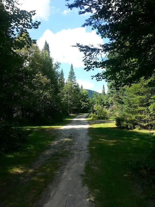 Beech Hill Campground Picture 7