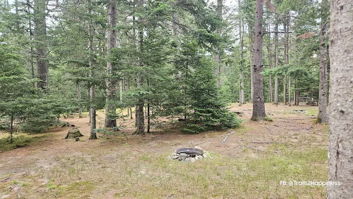 Beech Hill Campground Picture 5