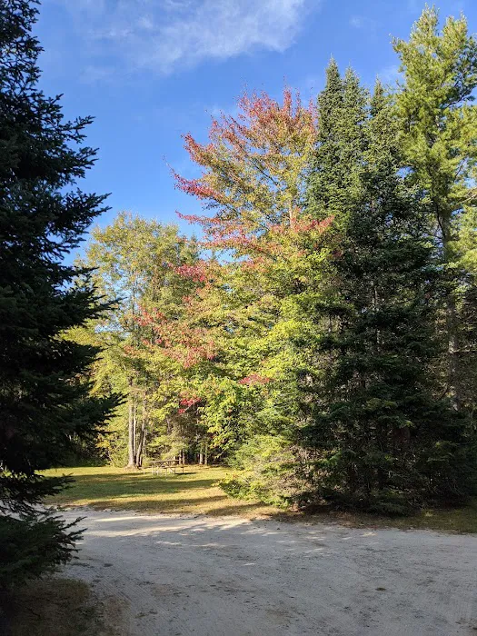 Beech Hill Campground Picture 2