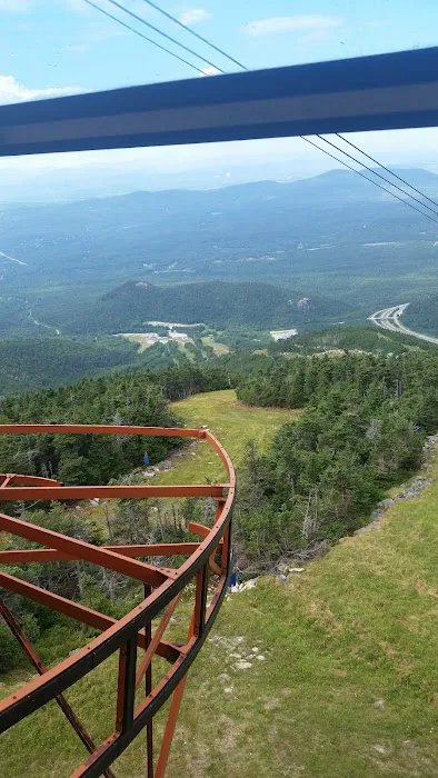 Ammonoosuc Campground Picture 5