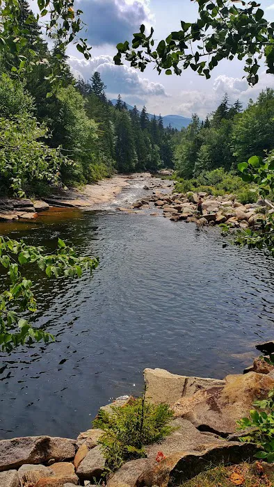 Ammonoosuc Campground Picture 2