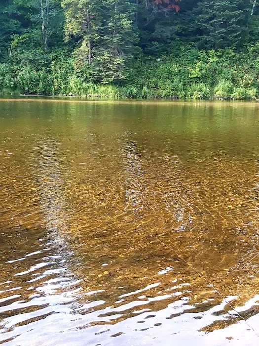 Ammonoosuc Campground Picture 3