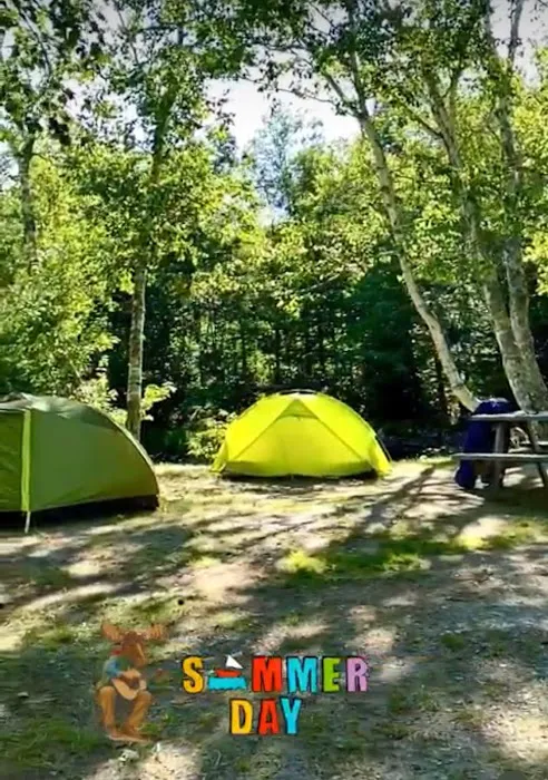 Twin Mountain Campground Picture 4