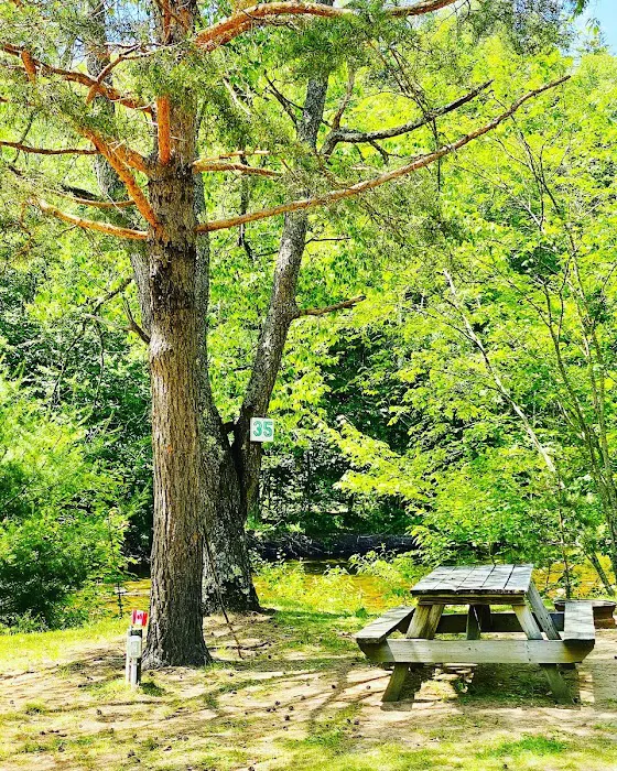 Twin Mountain Campground Picture 10