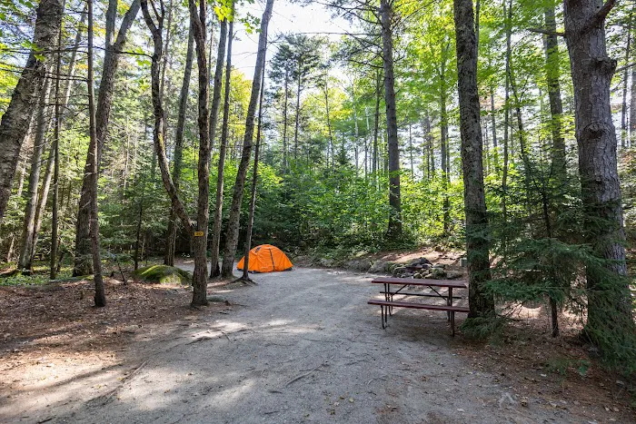 Twin Mountain / Mt. Washington KOA Holiday Picture 2