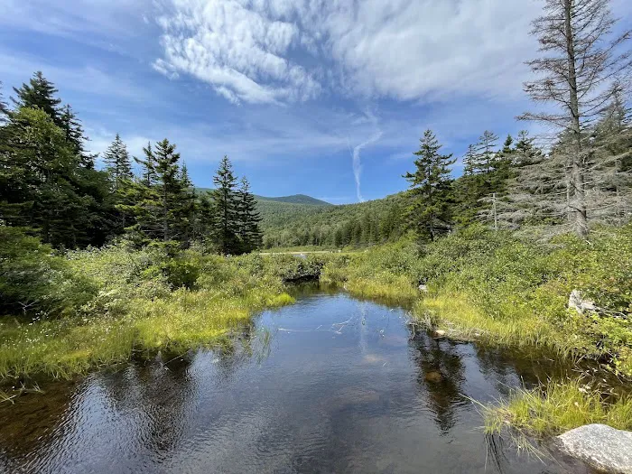 Sugarloaf Campground I Picture 1