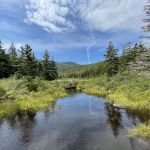 Sugarloaf Campground I