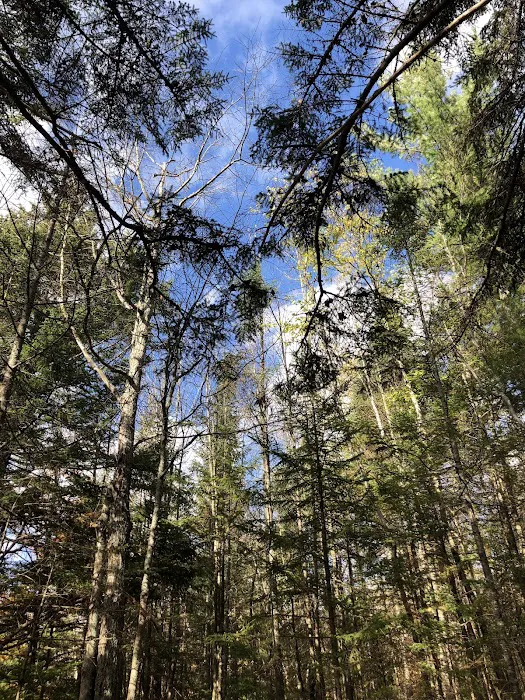 Sugarloaf Campground II Picture 4