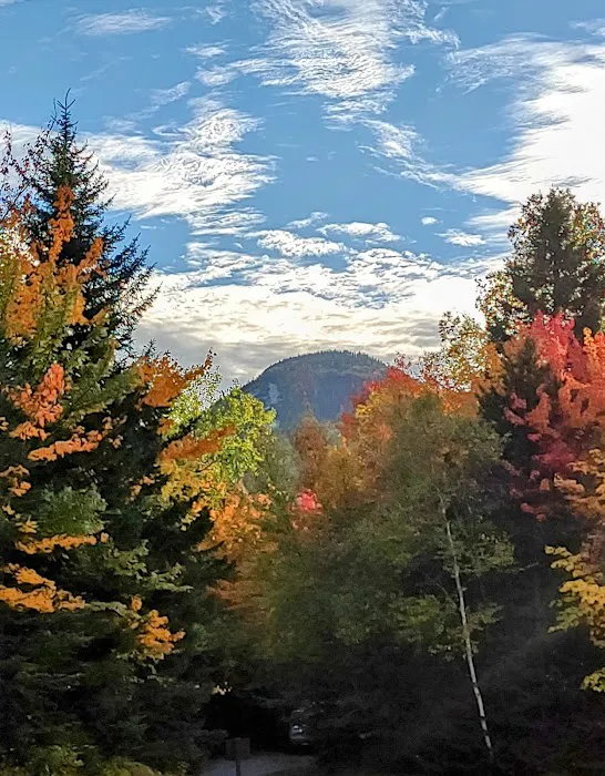 Sugarloaf Campground II Picture 10