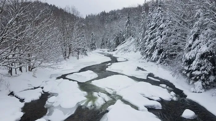 Zealand Campground Picture 8