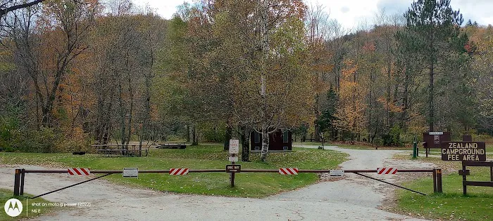 Zealand Campground Picture 7