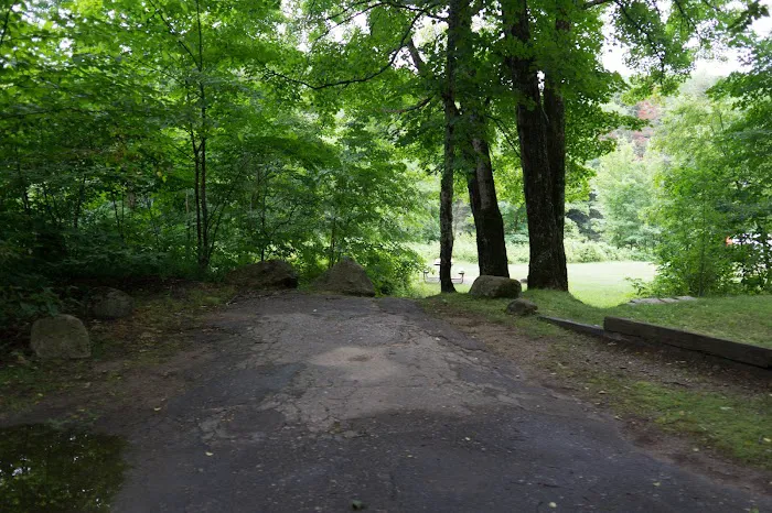 Zealand Campground Picture 6