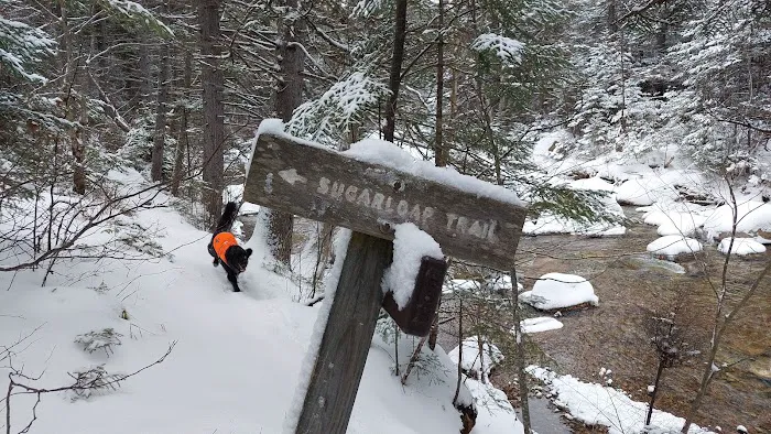 Zealand Campground Picture 10