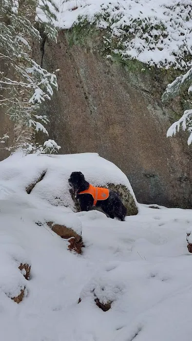 Zealand Campground Picture 3