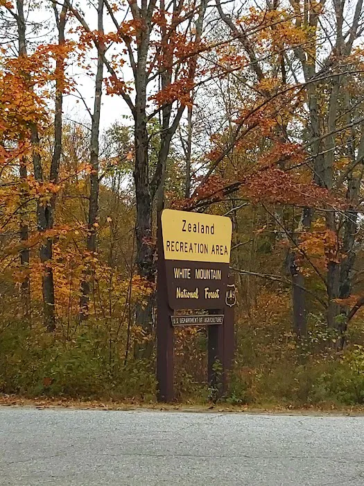 Zealand Campground Picture 2